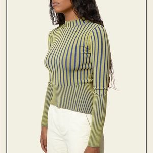 Urban Outfitters Olive Green and Royal Blue Striped Mock Neck Top
